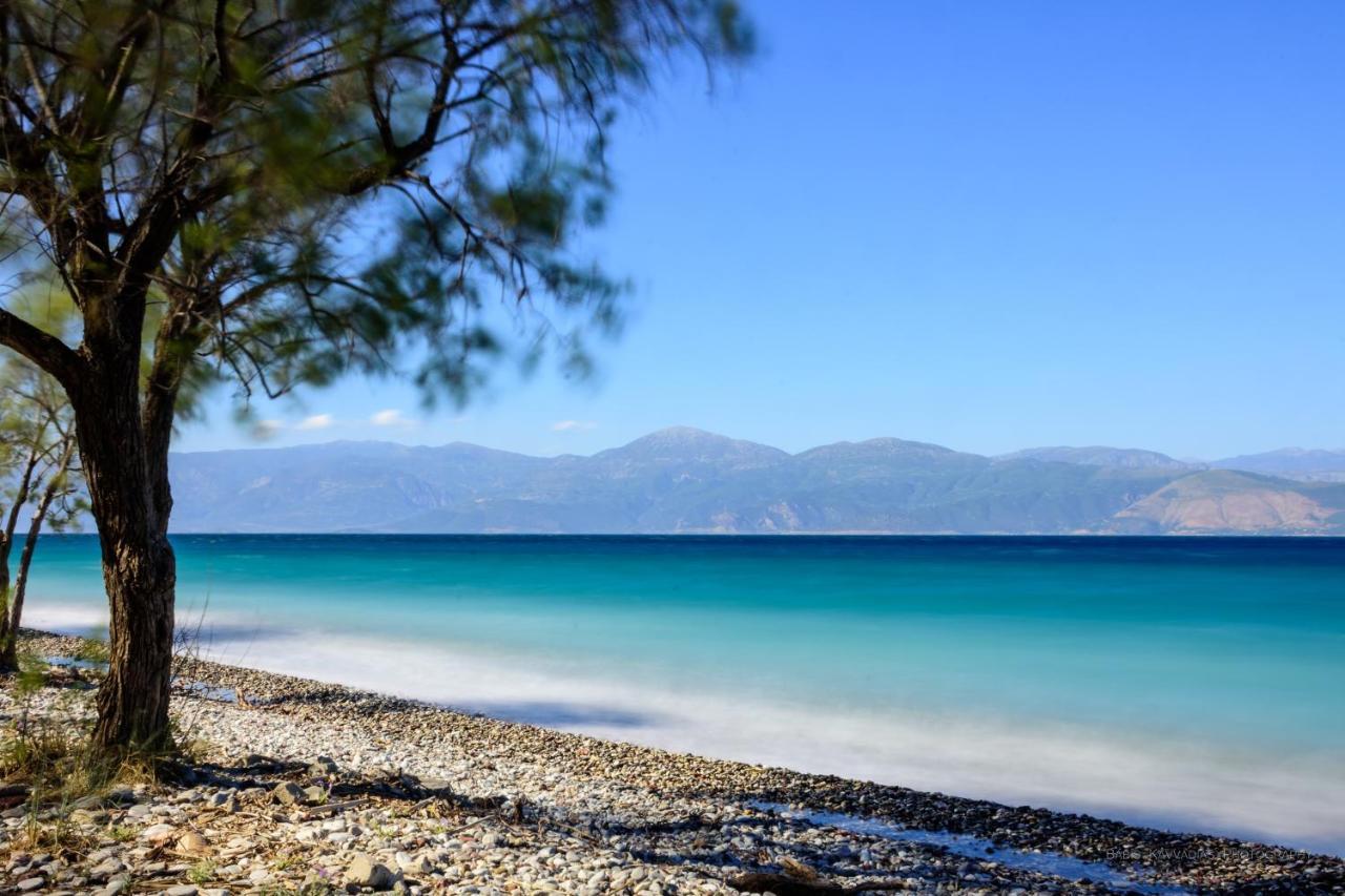 Dhiyellótika Oliva Holiday Homes المظهر الخارجي الصورة