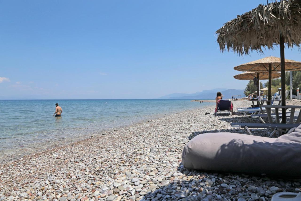 Dhiyellótika Oliva Holiday Homes المظهر الخارجي الصورة